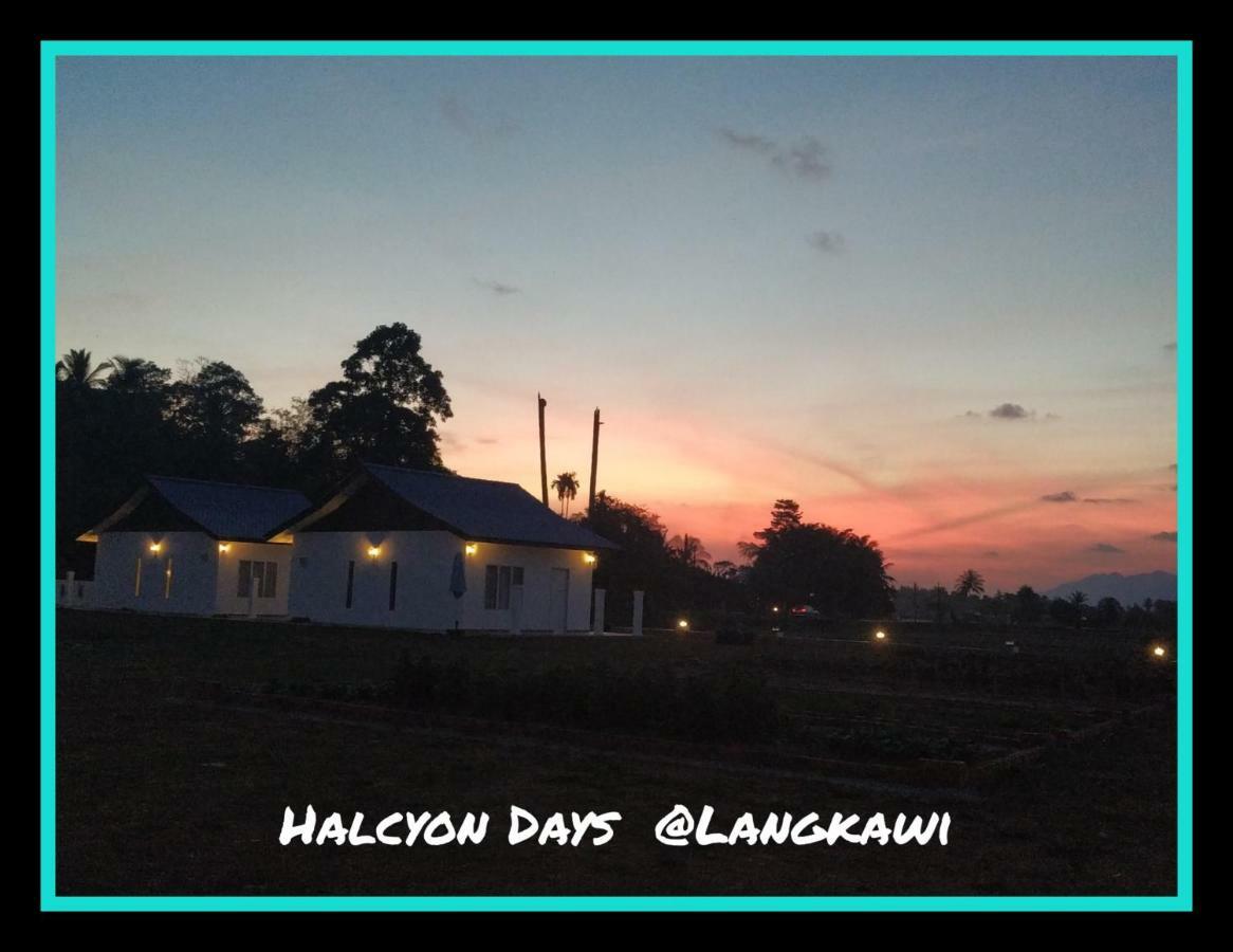 Halcyon Days @ Langkawi Appartement Pantai Cenang  Buitenkant foto